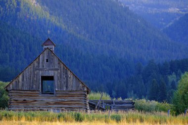 Dağ yabanı terk edilmiş eski ahır klasik binası.