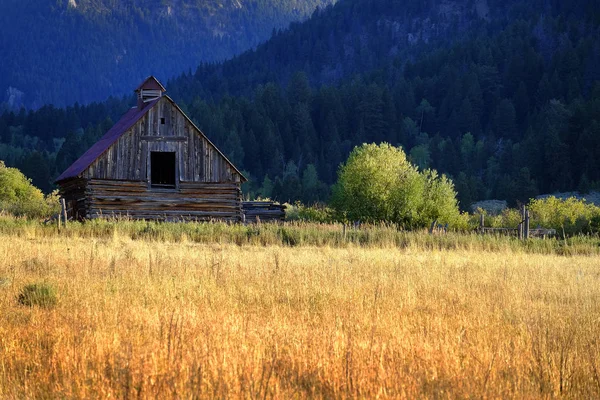 Mountain Wilderness Old Barn Vintage Building Weathered Abandoned — Stock Photo, Image
