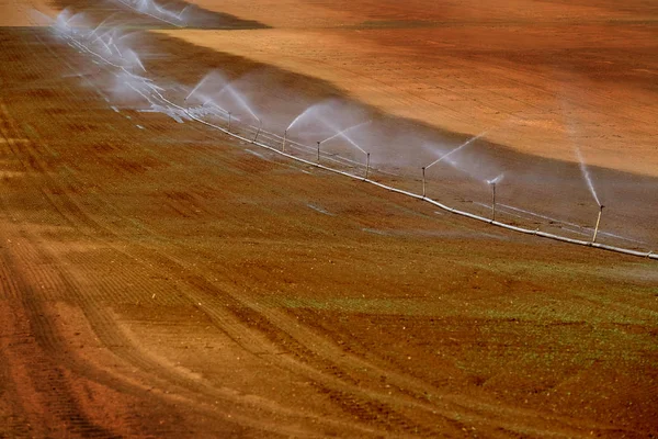 Irrigatori Irrigazione Colture Campo Agricoltura Cereali Acqua Spruzzatura Ricco Suolo — Foto Stock