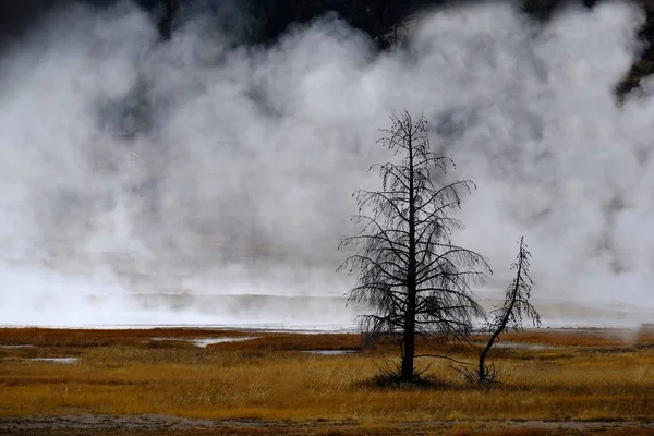 Geisers Stoom Uit Warmwaterbronnen Stijgt Yellowstone National Park — Stockfoto