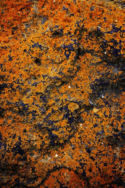 Rough Rock Texture Rusty Colored Growth Old Lichens Rust — Stock Photo, Image