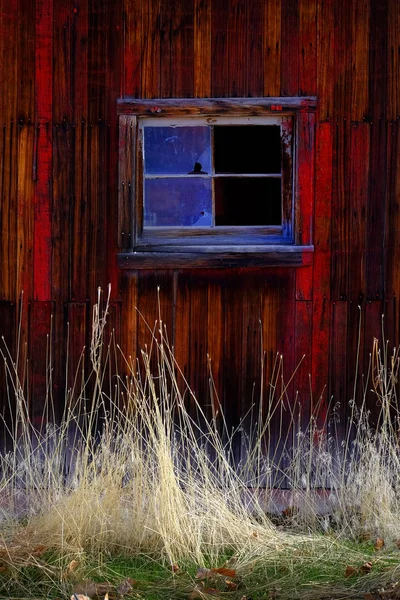 Antiguo Granero Rojo Campo Finales Otoño Otoño Hierba Marrón Madera — Foto de Stock