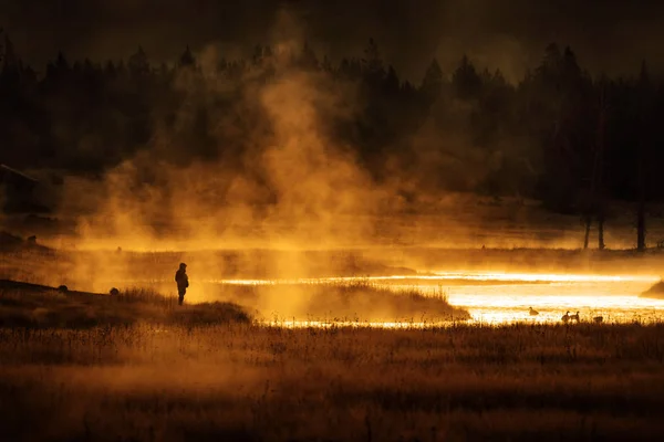 大自然の中で ガチョウの蒸気と黄金の太陽を見ながら湖のそばに立つ者 — ストック写真