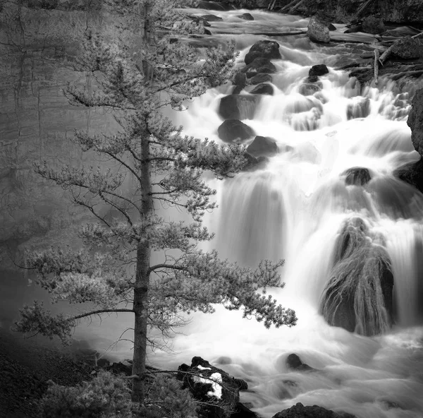 Zamlžené Vodopád Vody Kaskády Dolů Skály River Creek Borovice — Stock fotografie