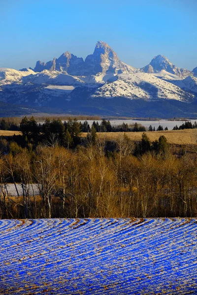 Teton Horské Rance Strany Idaho Zimě Lesní Zemědělské — Stock fotografie