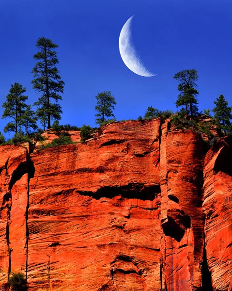 Röda Klipporna Zions Nationalpark Utah Utforska Vildmarken Klippiga Berg Med — Stockfoto