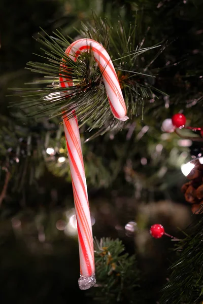 Canne Bonbons Canne Bonbons Sur Arbre Noël Pour Décoration Rayé — Photo