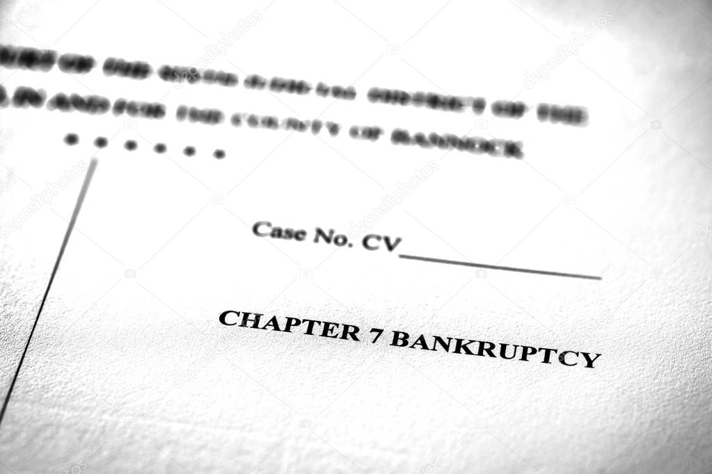 Legal Pleadings Court Papers Law Chapter 7 Bankruptcy