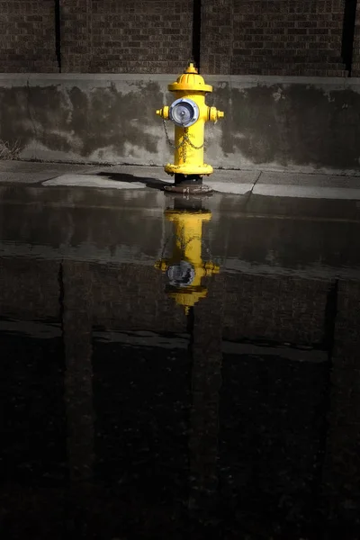 大きな水の水たまりの反射と都会都市町で建物の消火栓 — ストック写真
