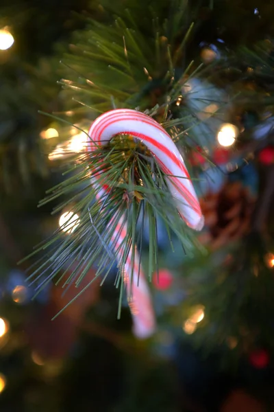 キャンディ ステッキ キャンデー杖を祝う祝日で クリスマス ツリーの飾りに掛かっています — ストック写真