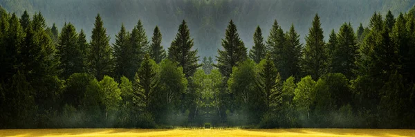 Regen Storm Het Bos Met Weelderige Bomen Die Groei Leven — Stockfoto