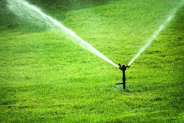 Sprinkler versprüht Wasser auf sattgrünem Gras — Stockfoto