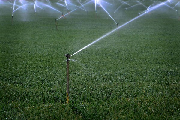Sprinkler Irrigation System Spraying Water on Field
