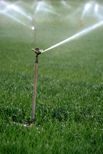 Sistema de irrigação por aspersão Pulverização de água no campo — Fotografia de Stock