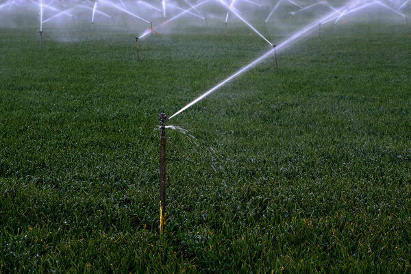 Sprinkler Irrigation System Spraying Water on Field