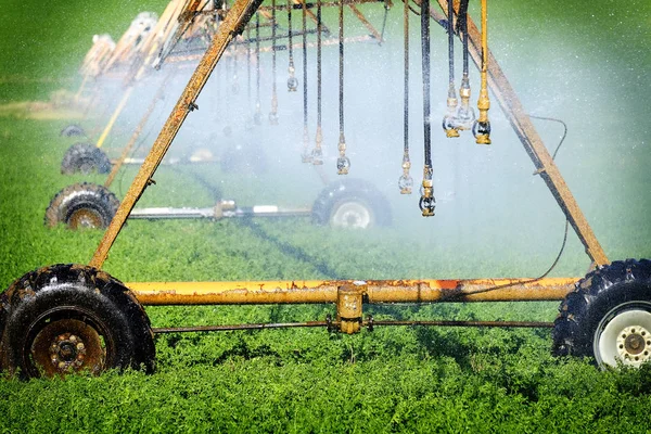 Irrigazione Irrigatori Campi di irrigazione per l'agricoltura — Foto Stock