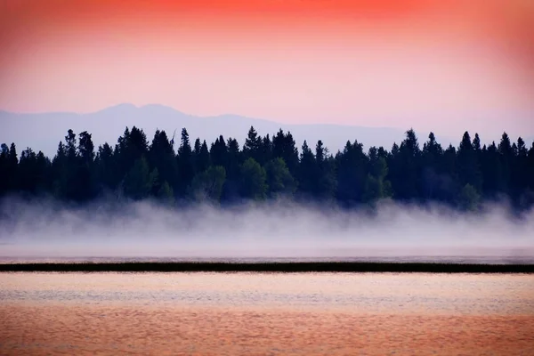 Amanecer puesta de sol en el lago con niebla levantándose de los pinos de agua un — Foto de Stock