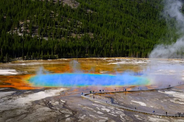Gran Primavera Prismática en el Parque Nacional de Yellowstone Steam Rising — Foto de Stock