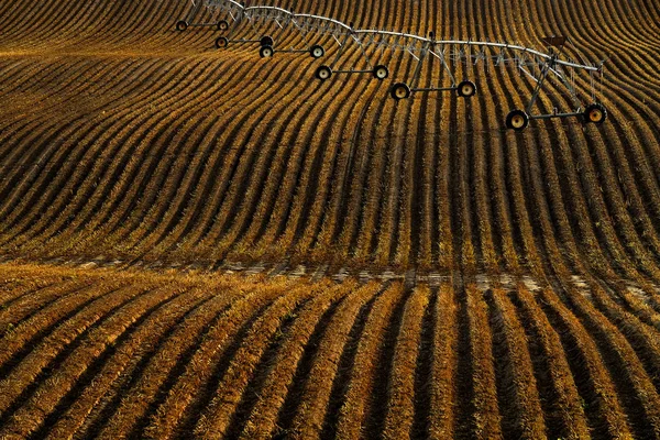 Lignes d'eau d'irrigation par pivot sur terrain agricole sillonné — Photo