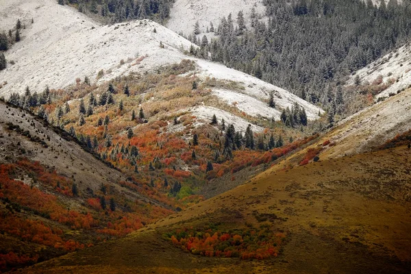 秋の晩秋の山の風景と秋の色と最初のスノ — ストック写真