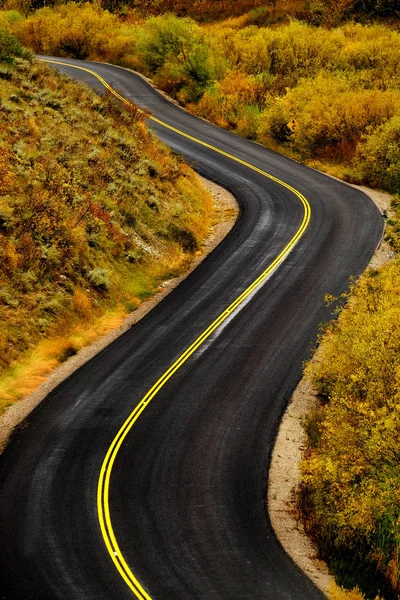 Straße mit gelben Streifen kurvenreich befahren — Stockfoto