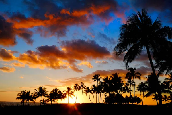 Silueta Palmeras Tropicales Silueta Atardecer Del Amanecer —  Fotos de Stock