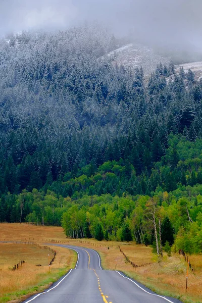 Straße Durch Berge Mit Schneebedecktem Kiefernwald — Stockfoto