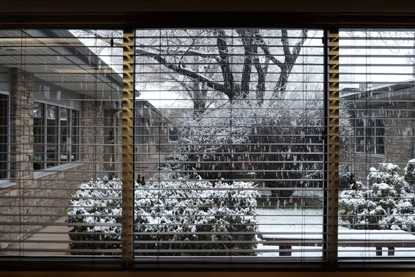 Vue Par Une Fenêtre Bureau Avec Neige Tombant Lors Une — Photo