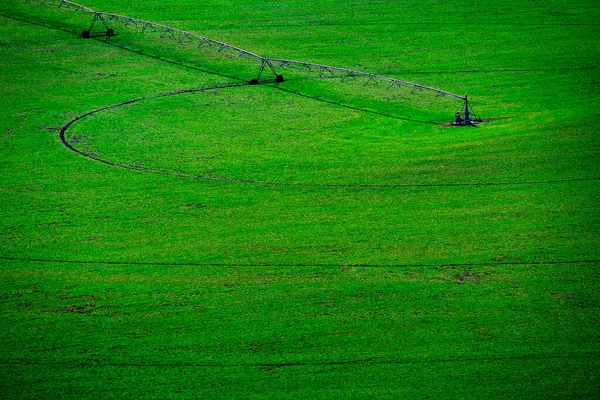 Irrigazione Attrezzature Irrigatore Lussureggiante Campo Verde Acqua Crescente — Foto Stock