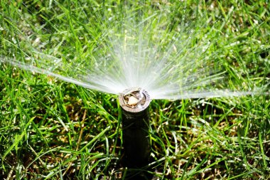 Fıskiyeler yemyeşil çimlere taze ıslak su püskürtüyor.