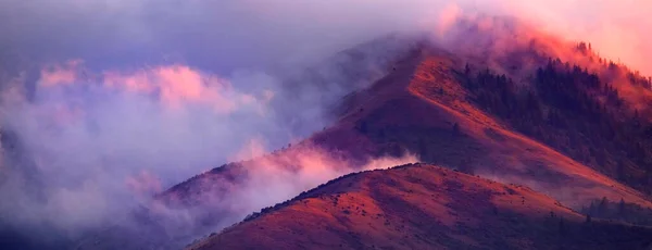 雲と夕日の光と荒野の山や森の木 — ストック写真