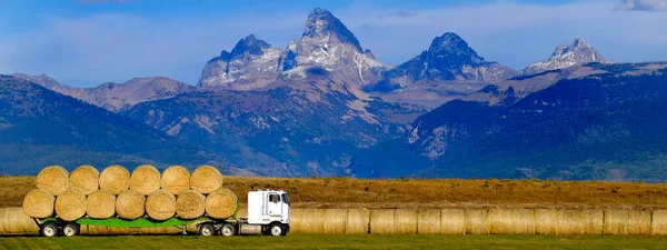 Truck Hauling Load Freshly Harvested Hay Teton Mountains Background — Stock Photo, Image