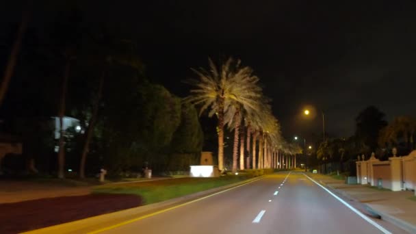 Driving Plates Golden Beach Miami Dade Florida Night Palm Trees — Stock Video