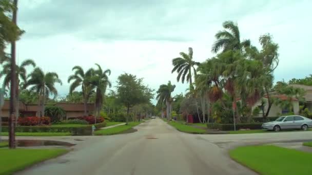 Driving Pov Residential Neighborhood Hollywood Florida Usa — Stock Video