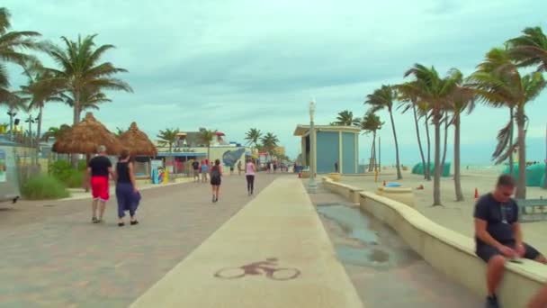 Destino Turístico Hollywood Beach Florida Carril Bici Paseo Marítimo — Vídeos de Stock
