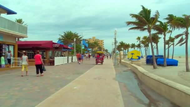 Destino Turístico Hollywood Beach Florida Carril Bici Paseo Marítimo — Vídeos de Stock