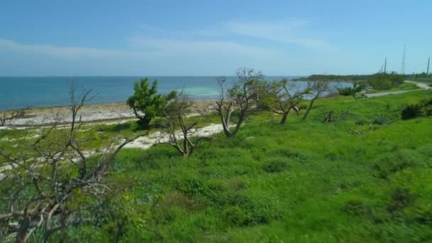 Aerial Nature Video Florida Keys — Stock Video