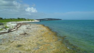 Güzel doğa resif sahne Florida Keys 4k hava uçak b rulo