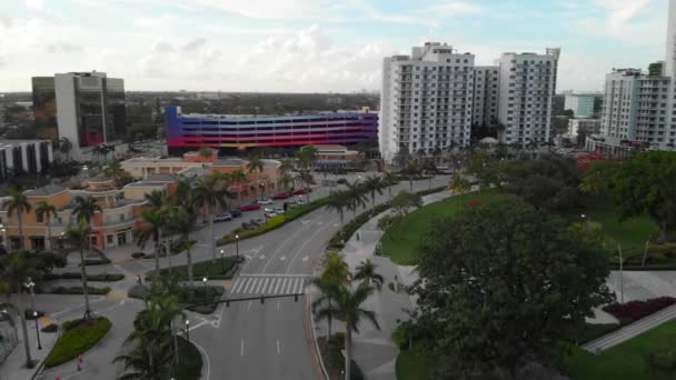 Materiał Wideo Antenowe Drone Hollywood Florydzie Młodzi Koło Parku — Wideo stockowe