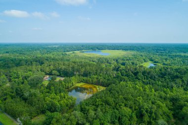 Lake City Florida ABD Hava dron görüntü