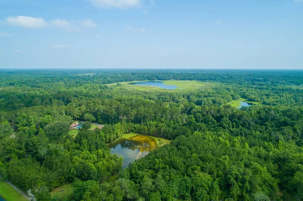 Lake City Florida ABD Hava dron görüntü