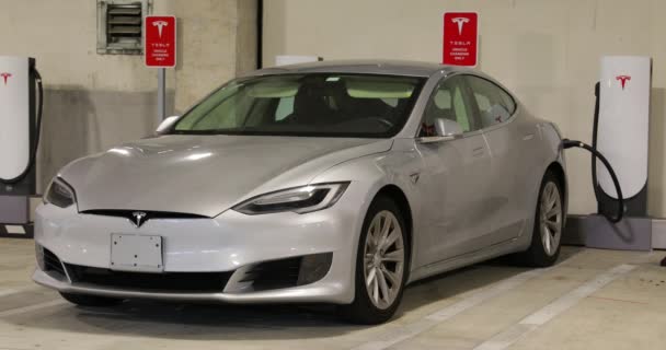 Miami Usa Června 2018 Video Záběry Roll Tesla Electric Vehicle — Stock video