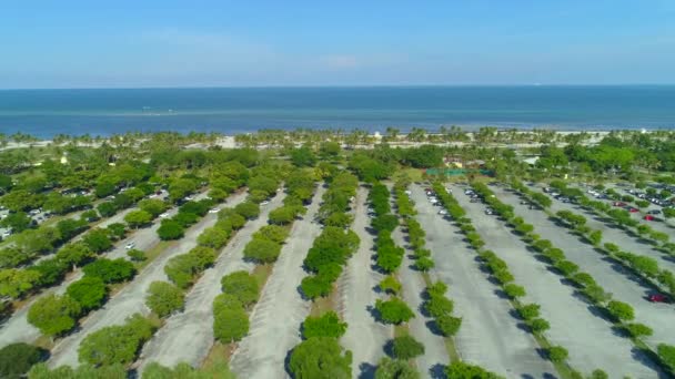 Légifelvételek Crandon Beach Key Biscayne — Stock videók