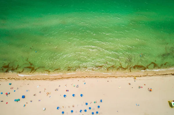 フロリダ州マイアミビーチ風景の空中の自然画像 — ストック写真
