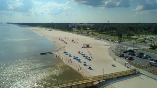 Mississippi Nehri Baton Rouge Louisiana Üzerinde Hava Video Otoyol I10 — Stok video