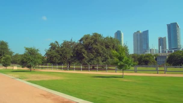 Austin Texas City Park Eder 24P — Stok video