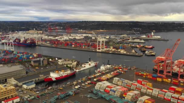 Stazione Aerea Porto Base Della Guardia Costiera Seattle — Video Stock