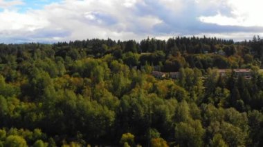 Tek aile evleri Auburn Washington Hava dron video görüntüleri