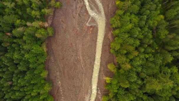 Udara Terbang Atas Sungai Hutan — Stok Video