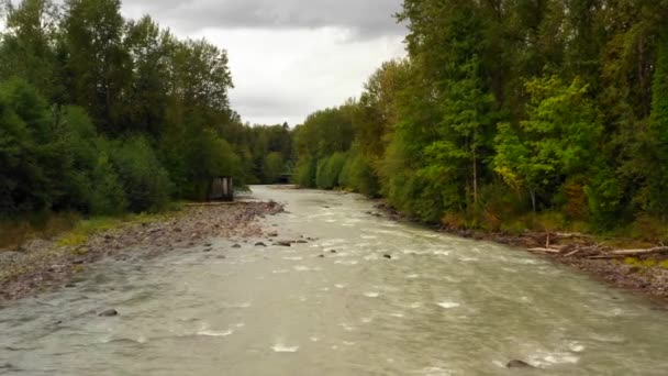 浅河床河流与树木和岩石的空中运动素材 — 图库视频影像